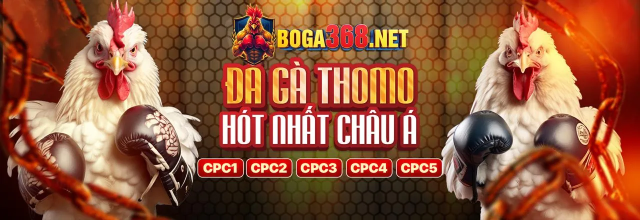 Tổng quan về các ưu đãi cho thành viên mới nn99
